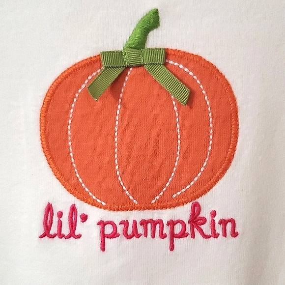 NWT New Gymboree Lil' Pumpkin Long Sleeve Top Toddler Girls Size 2T - Picture 5 of 6